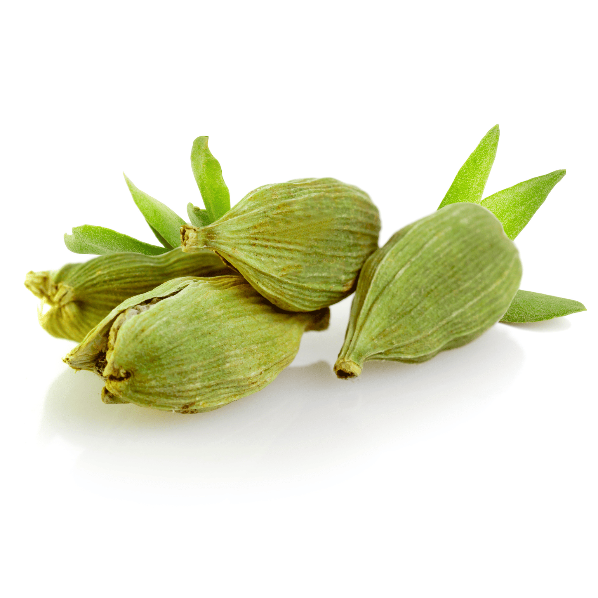 Green cardamom pods on a white background
