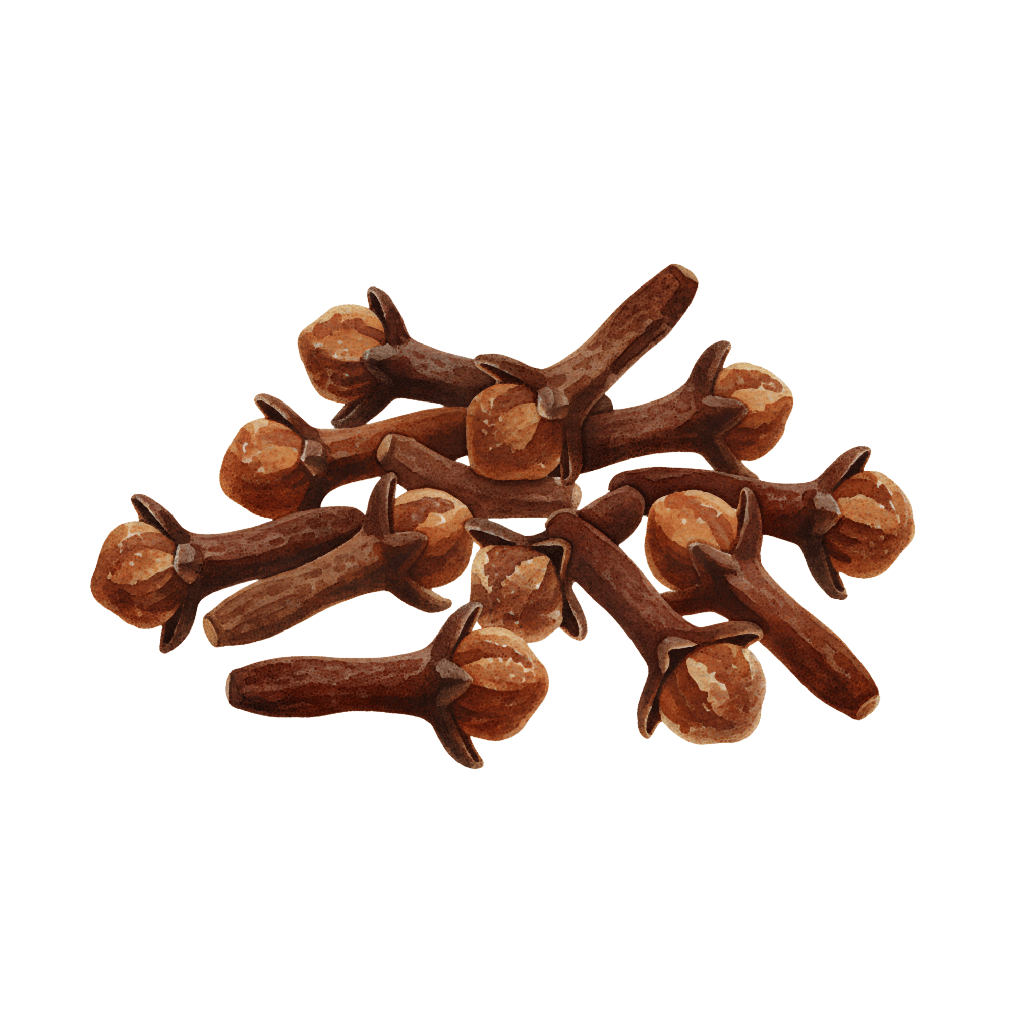 Cloves on a white background