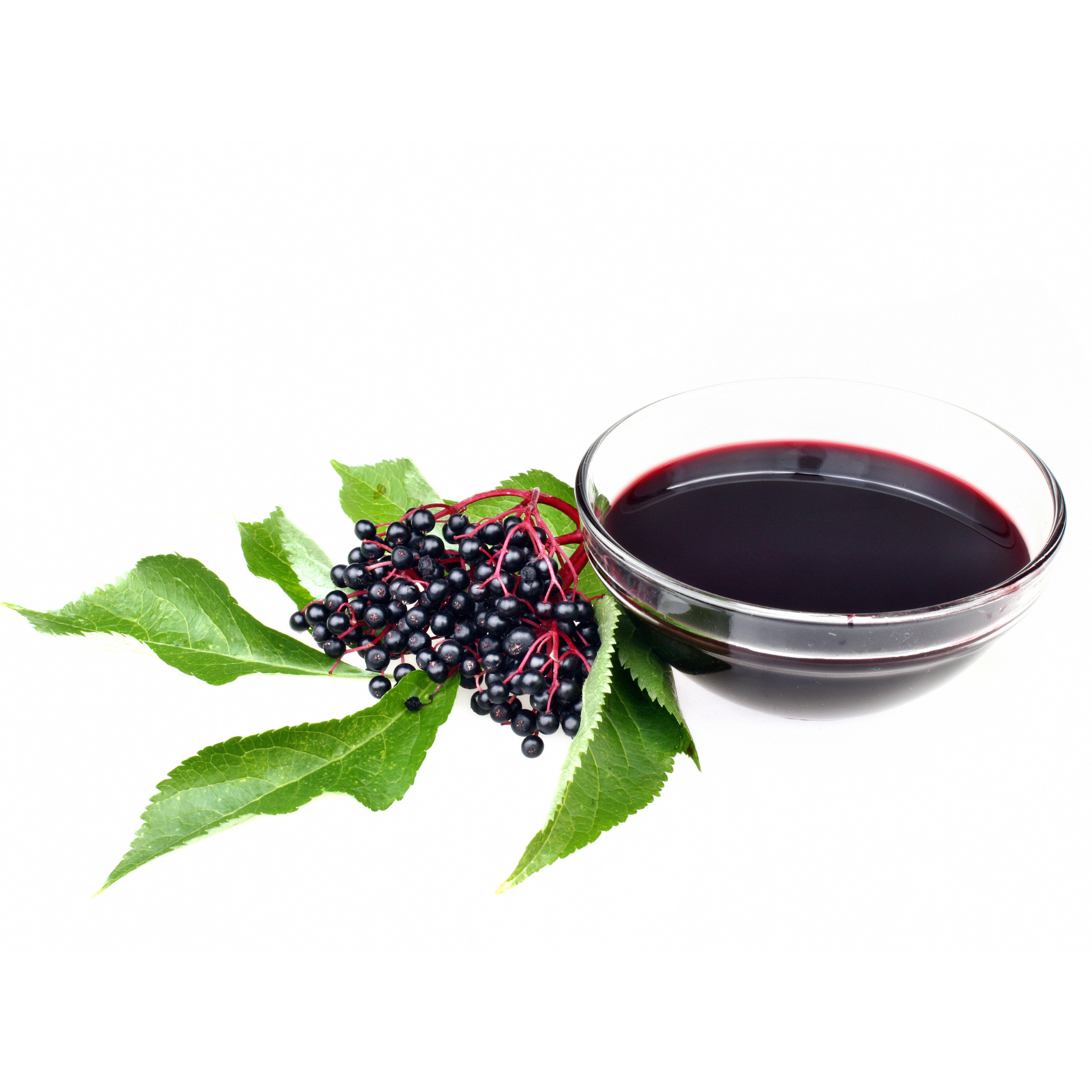 Bowl of elderberry extract with fresh elderberries and leaves on a white background