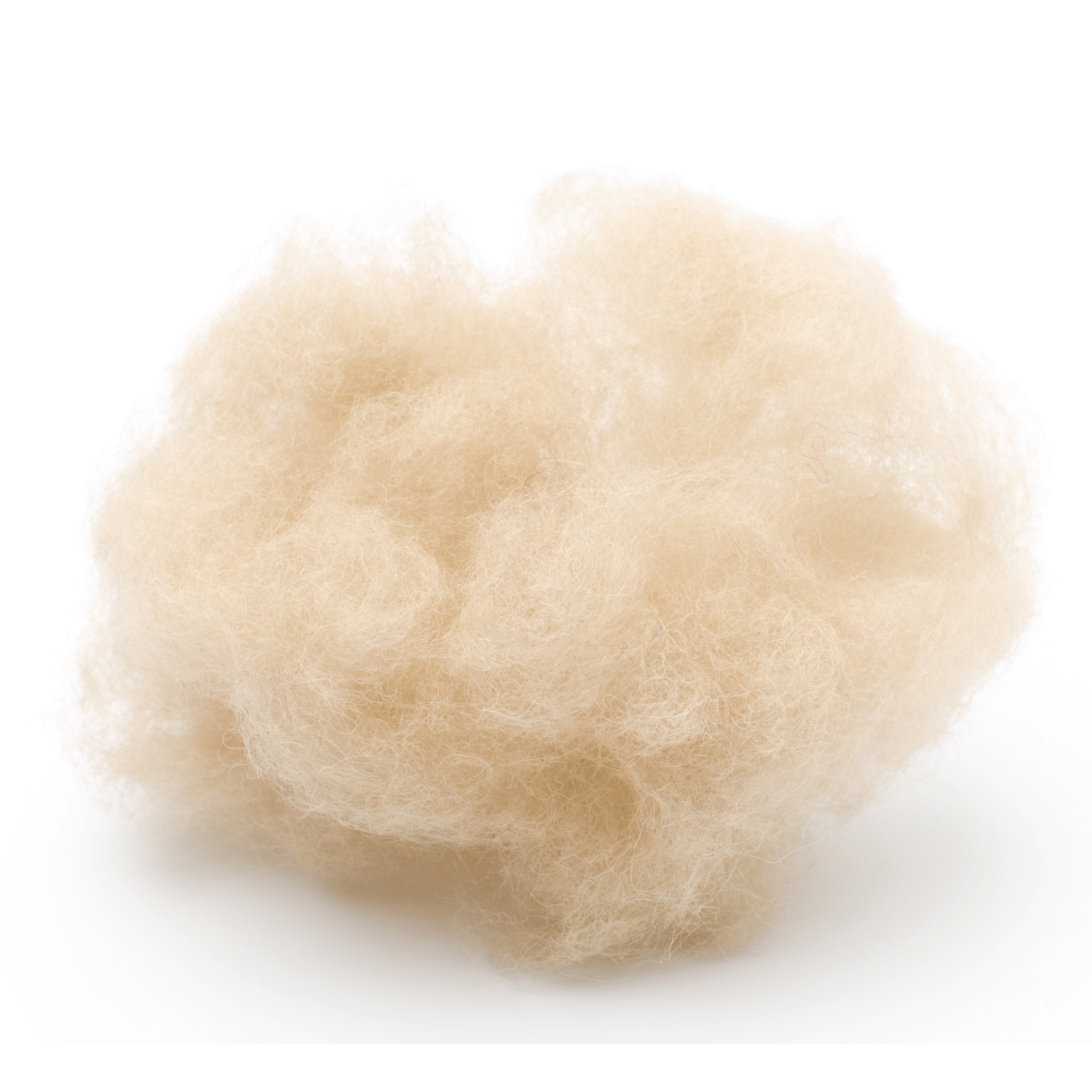 Beige wool fiber on a white background