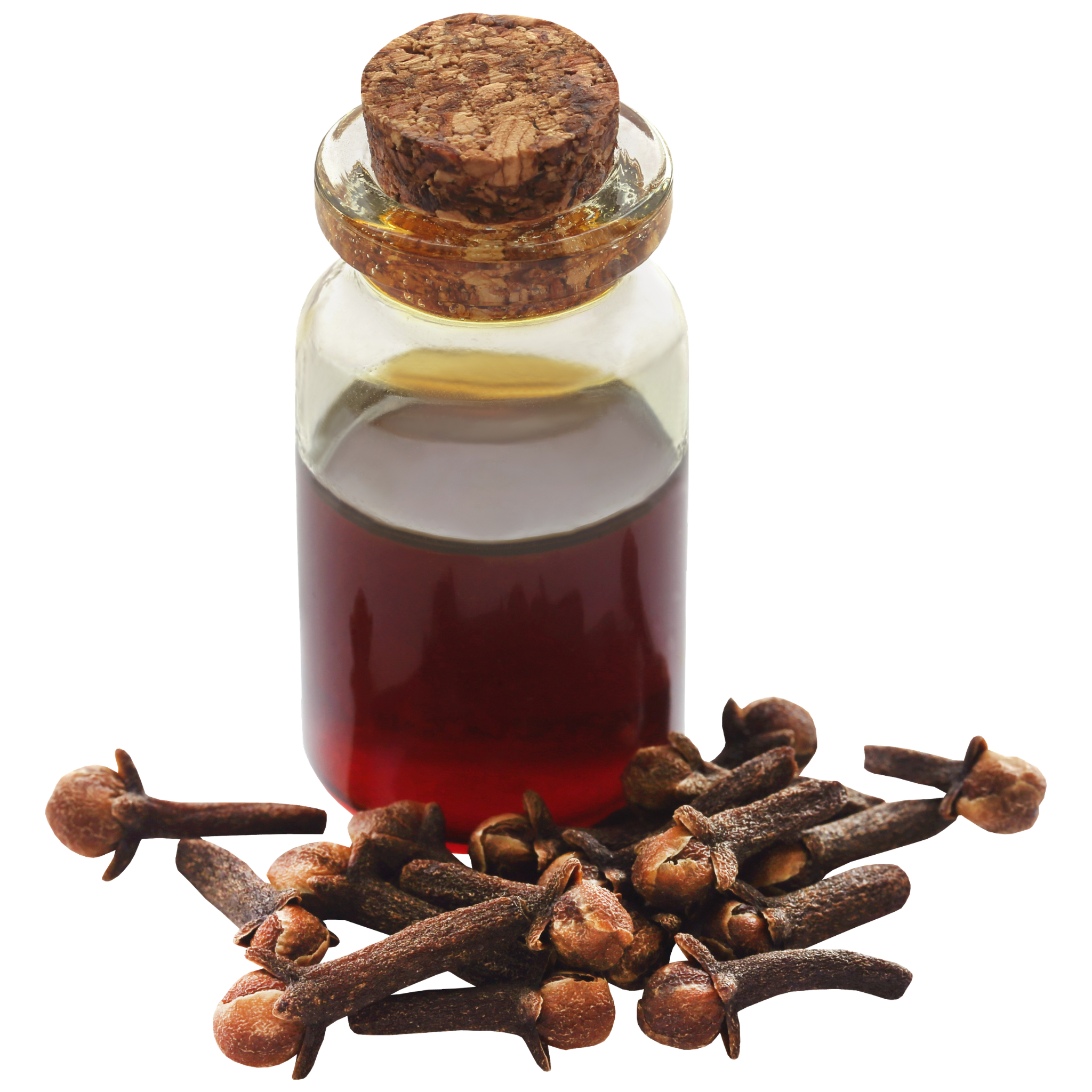 Glass bottle with cork lid containing a dark liquid, surrounded by whole cloves on a white background