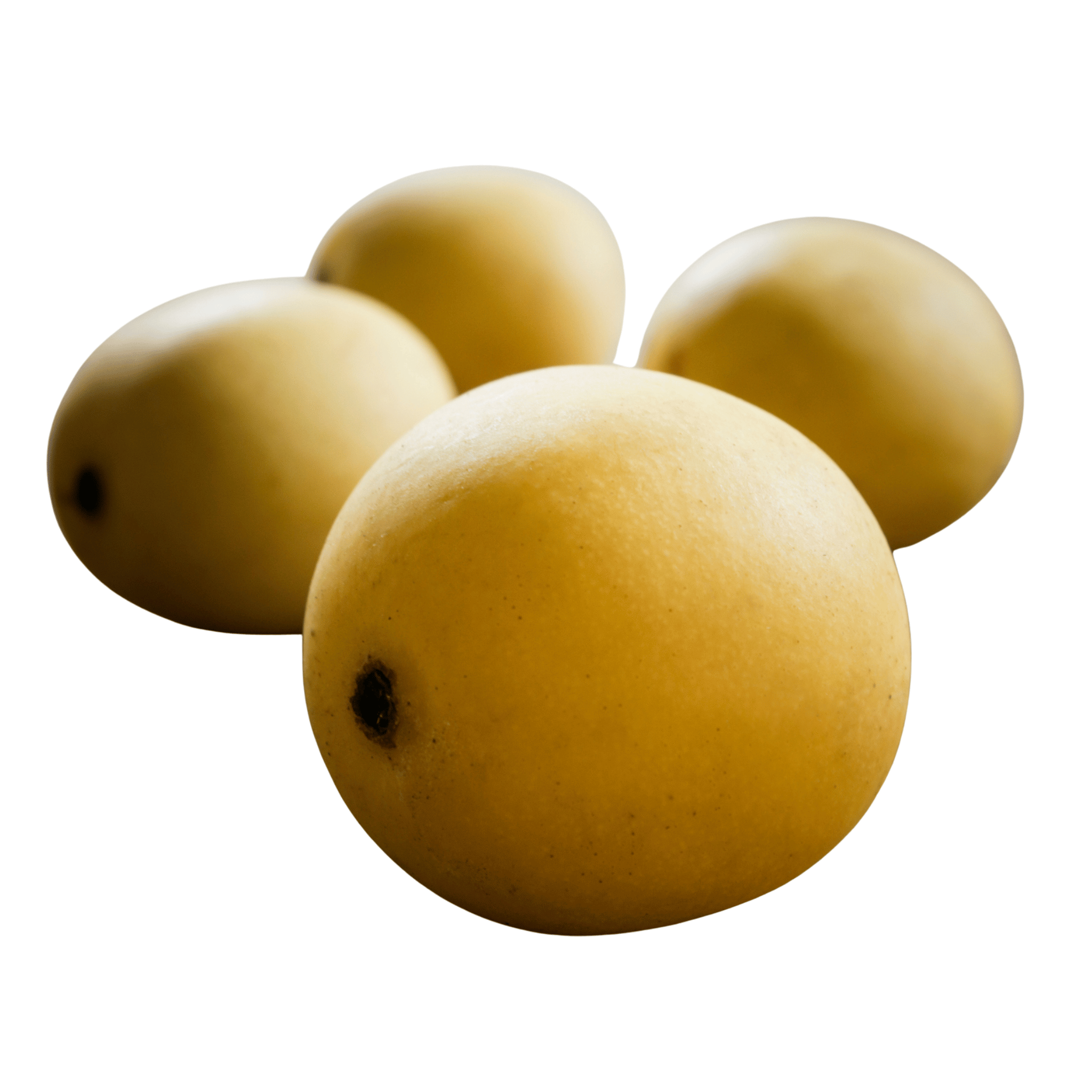 Four marula fruits with a white background