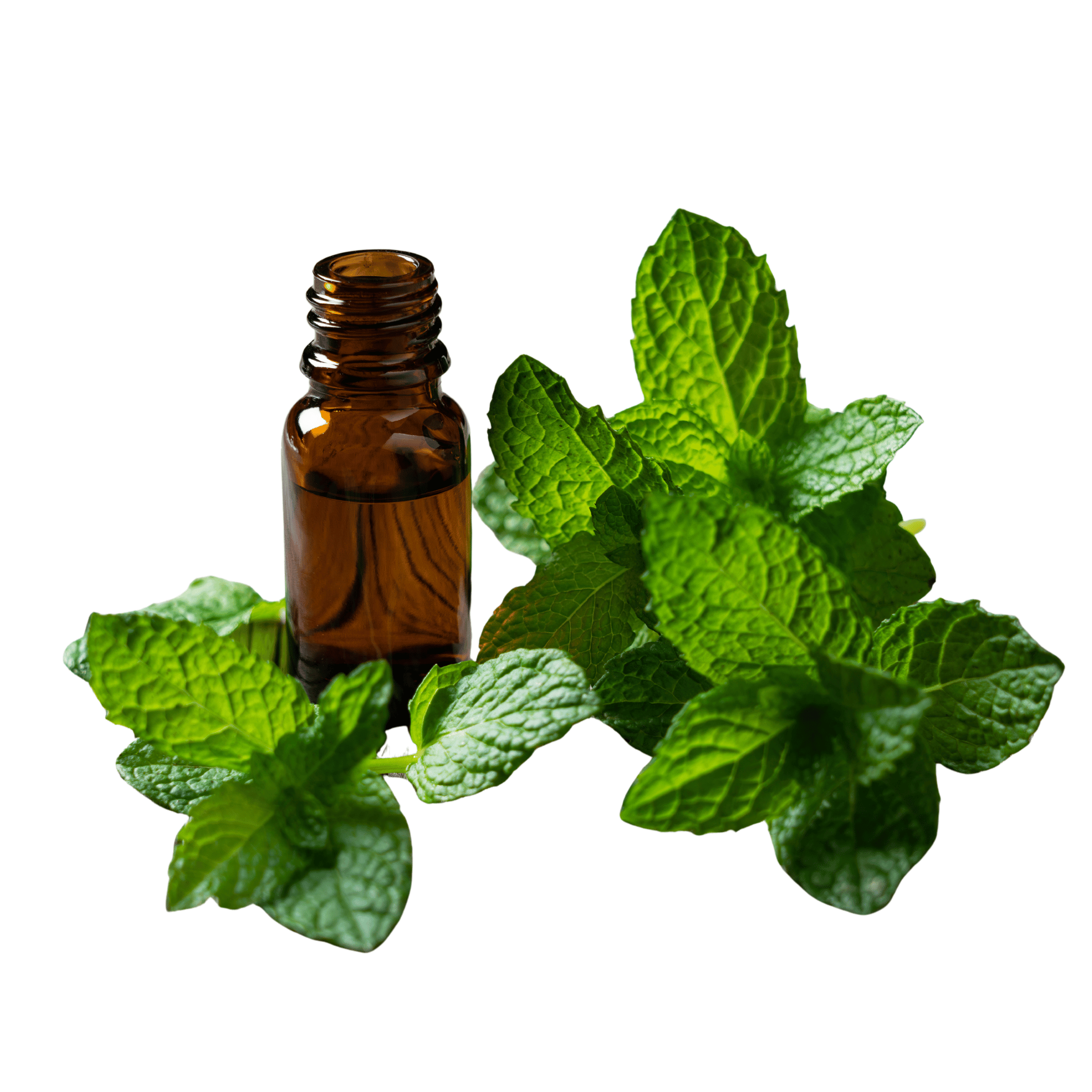 Brown glass bottle with a dropper surrounded by fresh green mint leaves on a white background