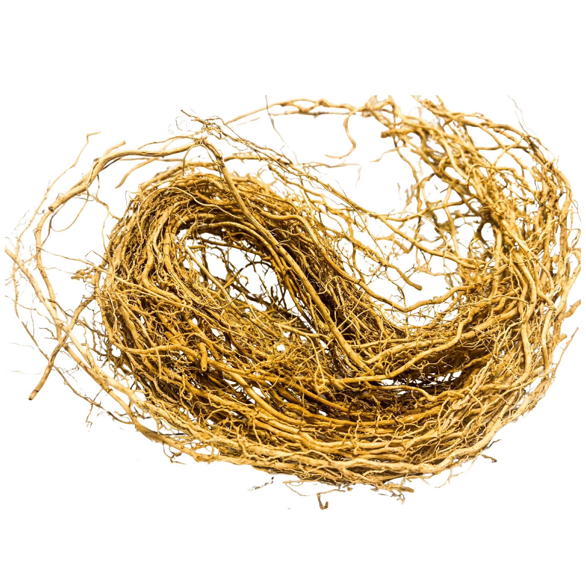 Vetiver roots on a white background