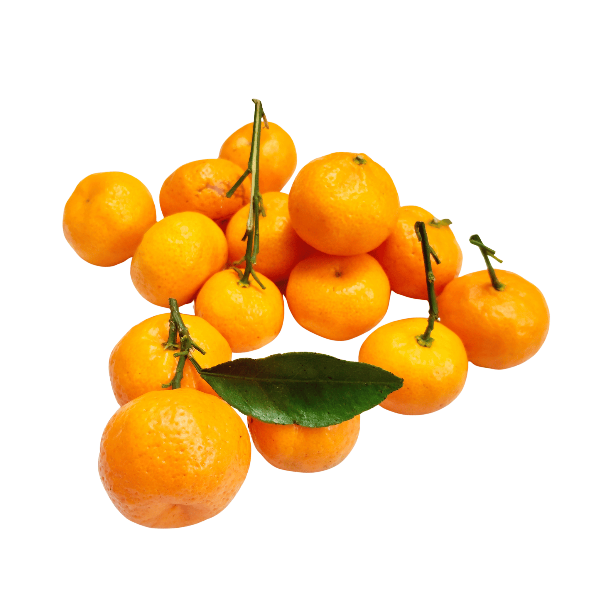 Wild oranges with a green leaf on a white background