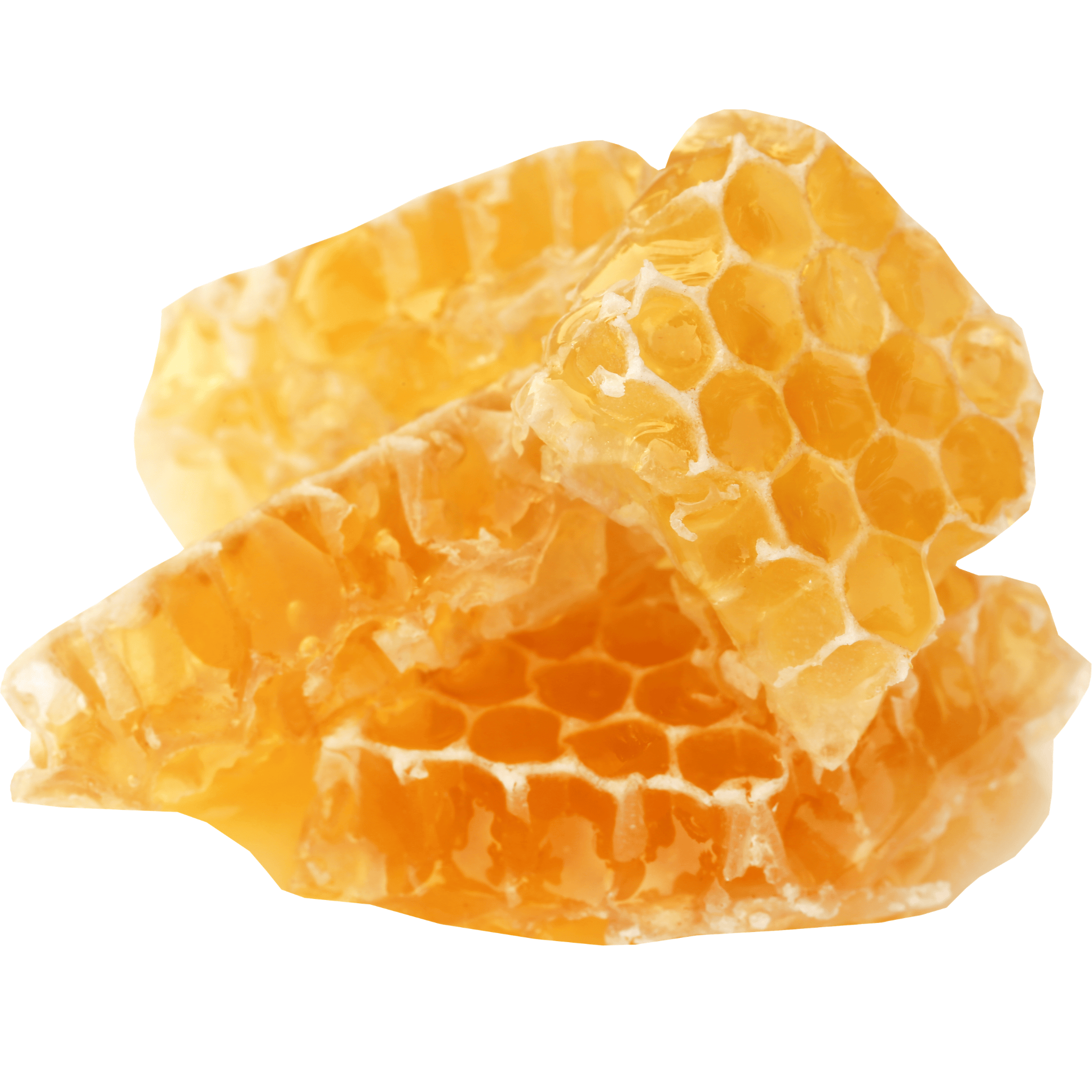 Closeup of beeswax on white background.