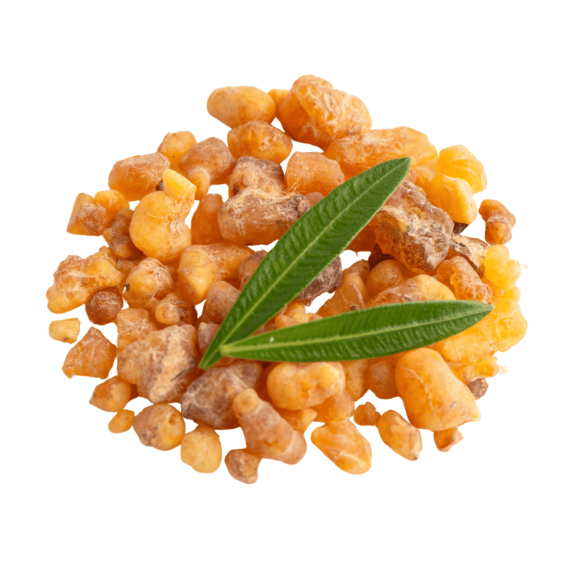 Heap of frankincense resin with a green leaf on a white background