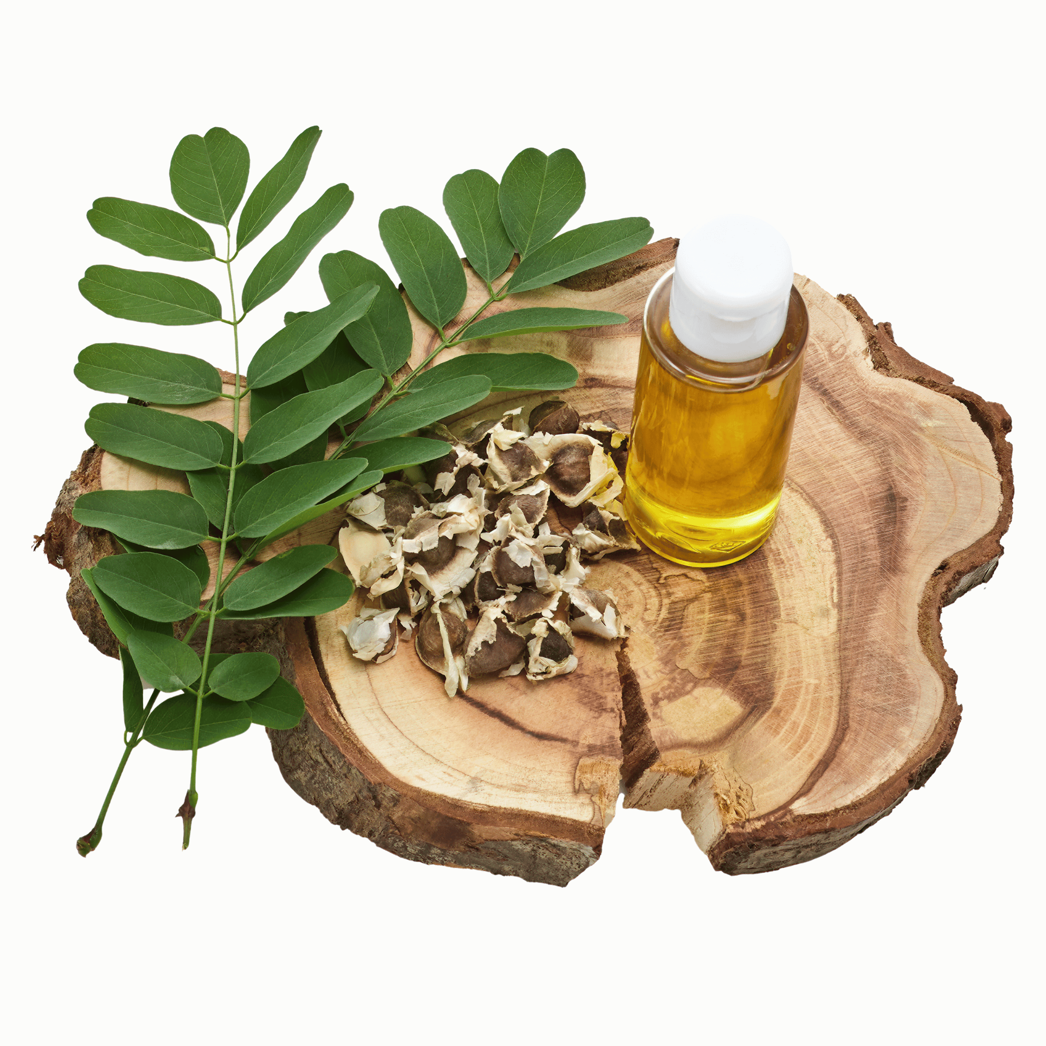 Bottle of moringa oil with moringa leaves and seeds on a wooden slice