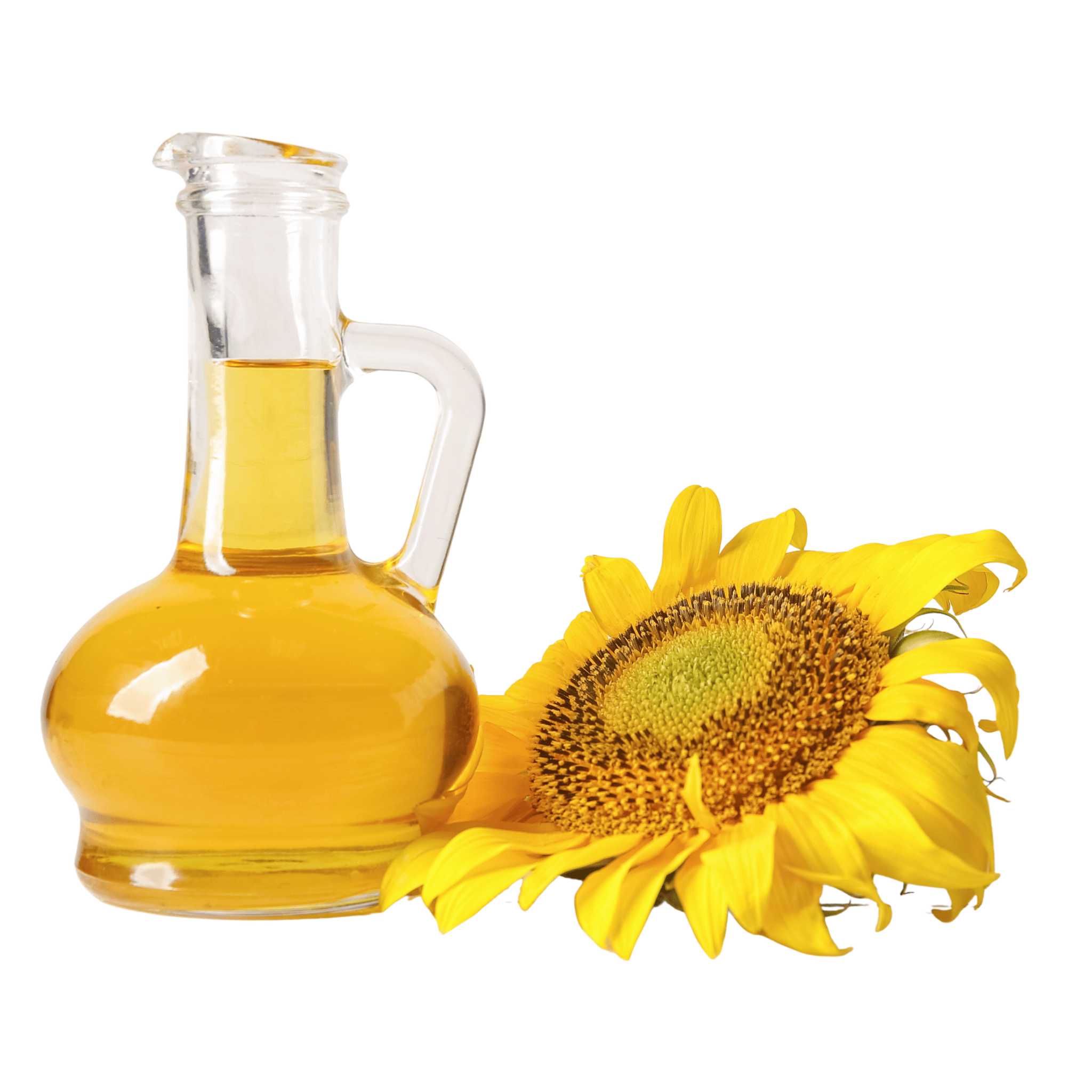 Glass jar of sunflower oil next to a sunflower on a white background